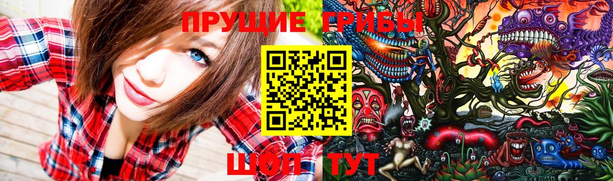 Новотроицк  Галлюциногенные грибы Psilocybine cubensis  Вход с VPN 