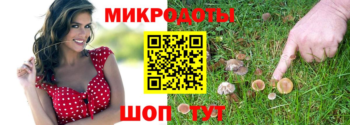Псилоцибиновые грибы Psilocybine cubensis Новотроицк
